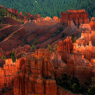 Bryce Canyon National Park In Utah sfondi gratuiti per 1024x1024