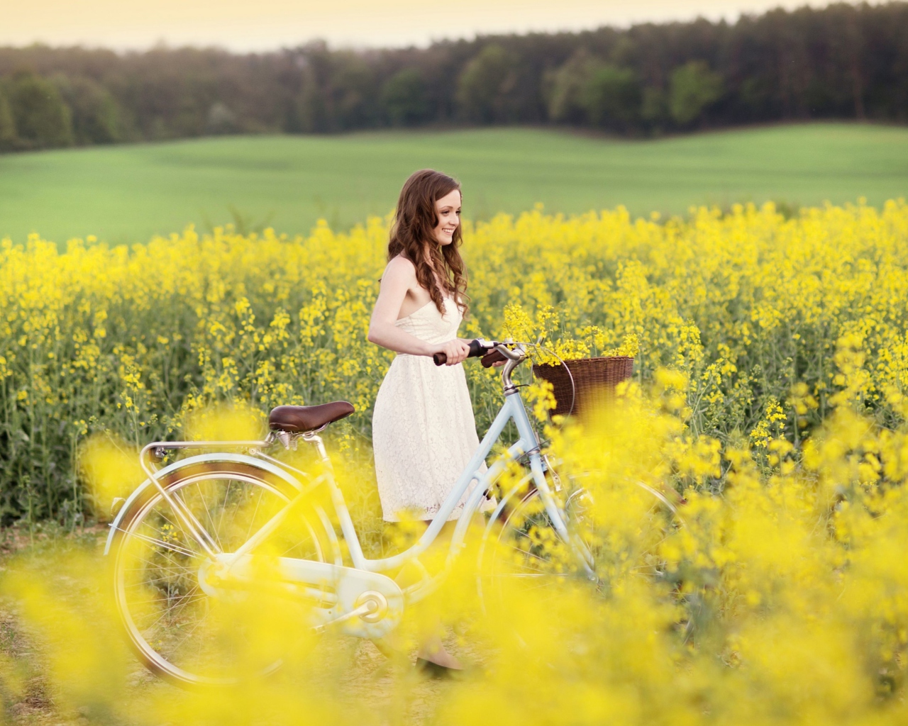 Обои Girl With Bicycle In Yellow Field 1280x1024