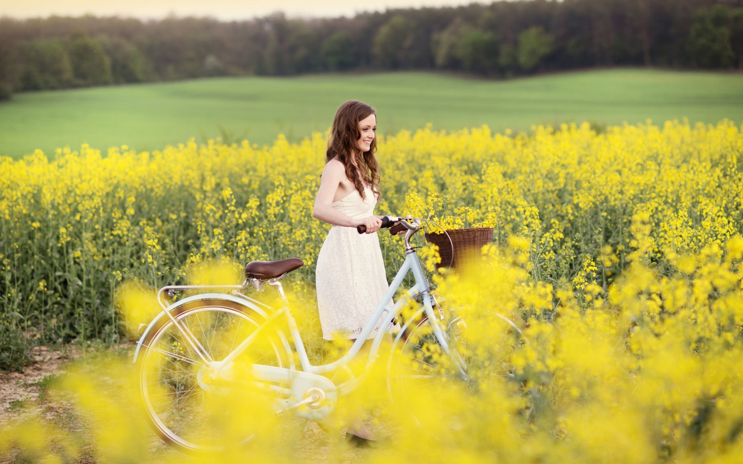 Fondo de pantalla Girl With Bicycle In Yellow Field 2560x1600