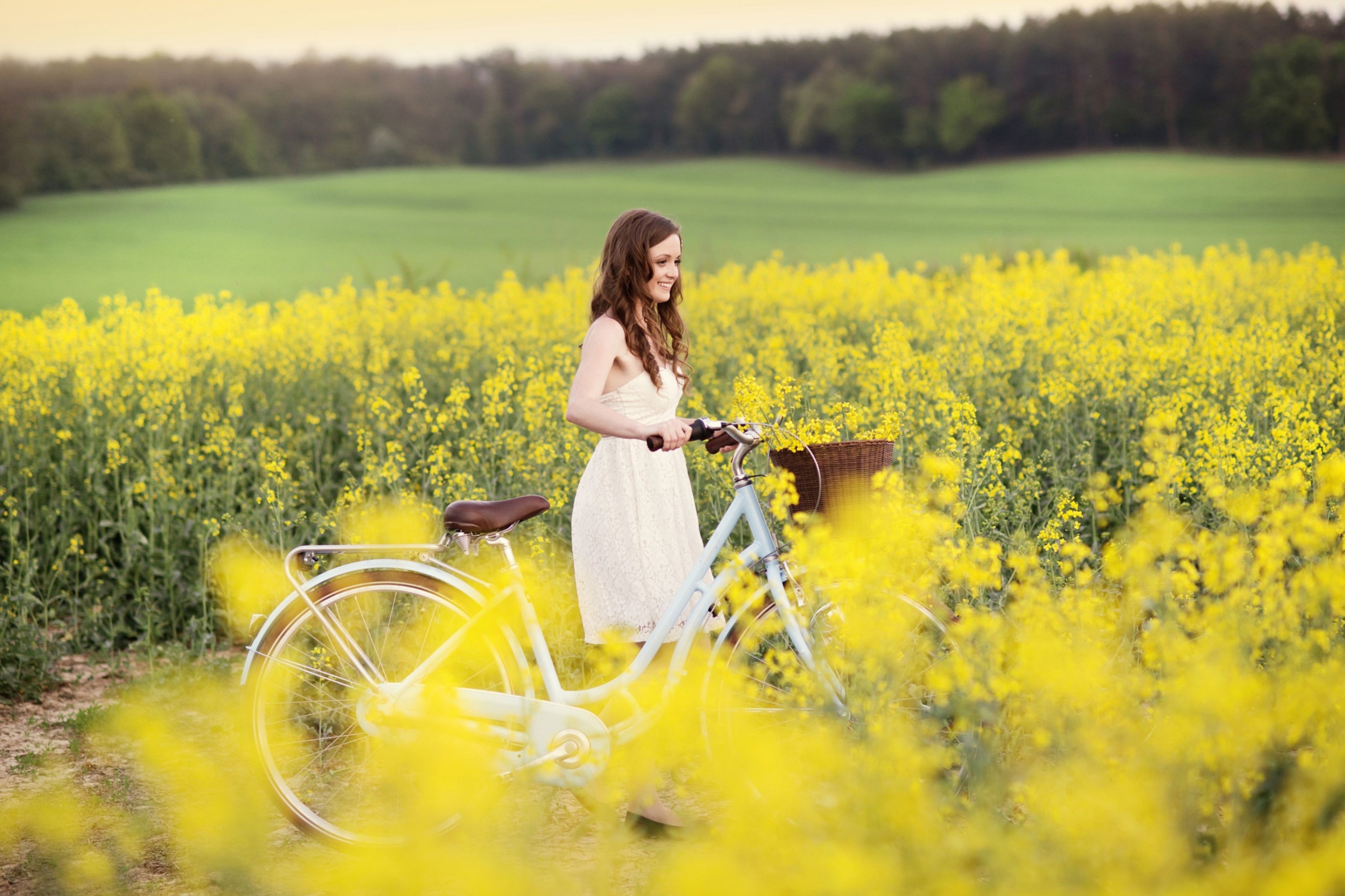 Fondo de pantalla Girl With Bicycle In Yellow Field 2880x1920