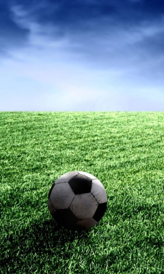 Sfondi Football Widescreen Wallpaper 240x400