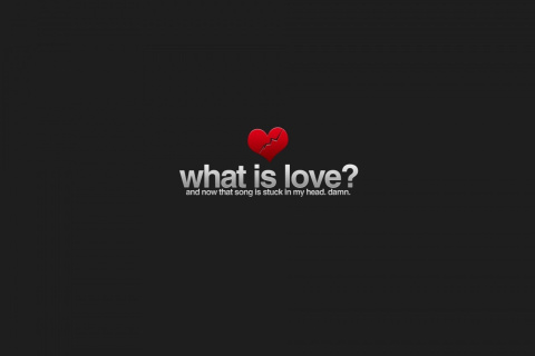 Das What is Love Wallpaper 480x320