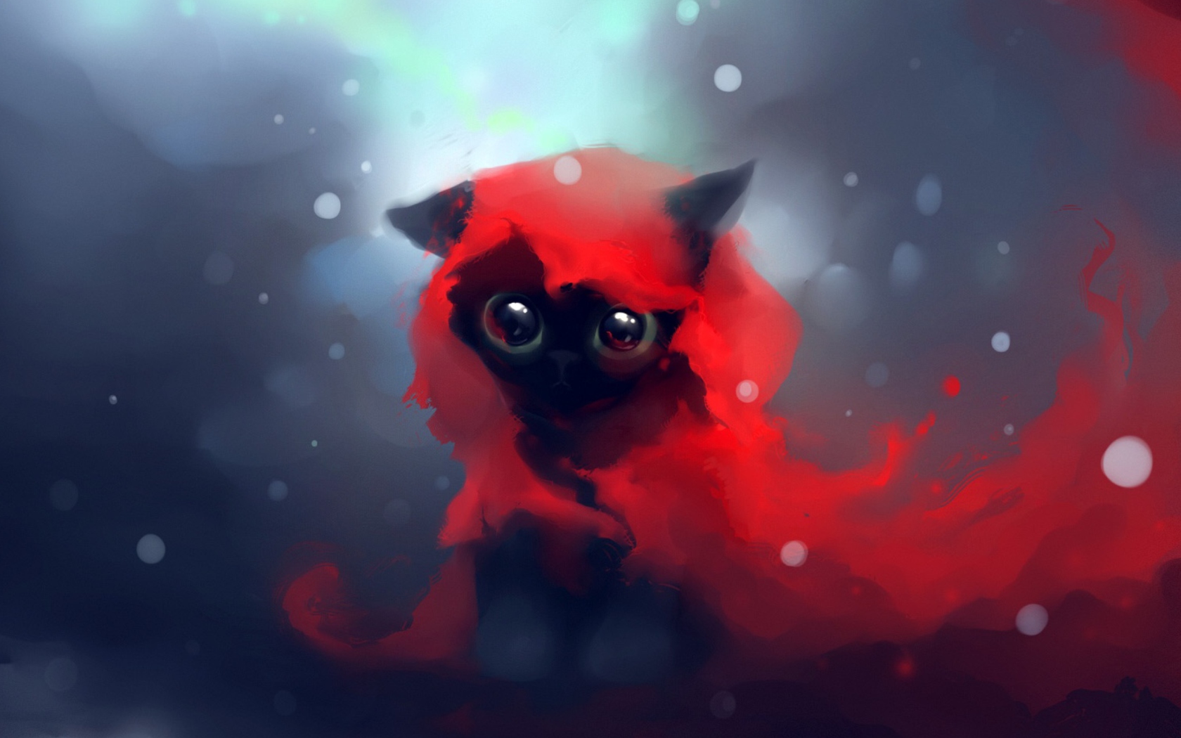 Fondo de pantalla Red Riding Hood Cat 1680x1050