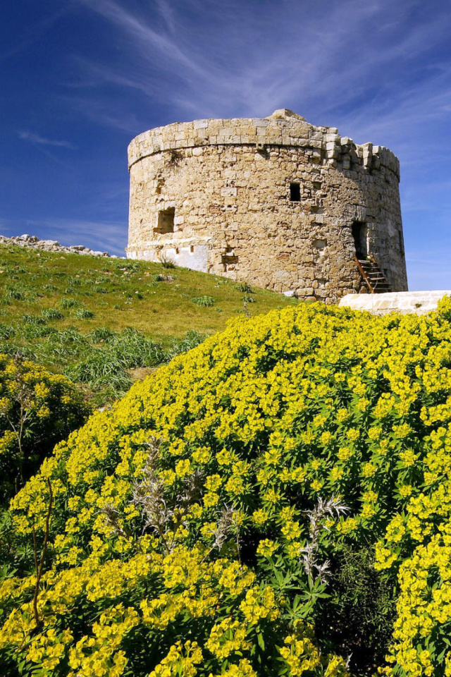 Sfondi Stone Tower In Mountains 640x960