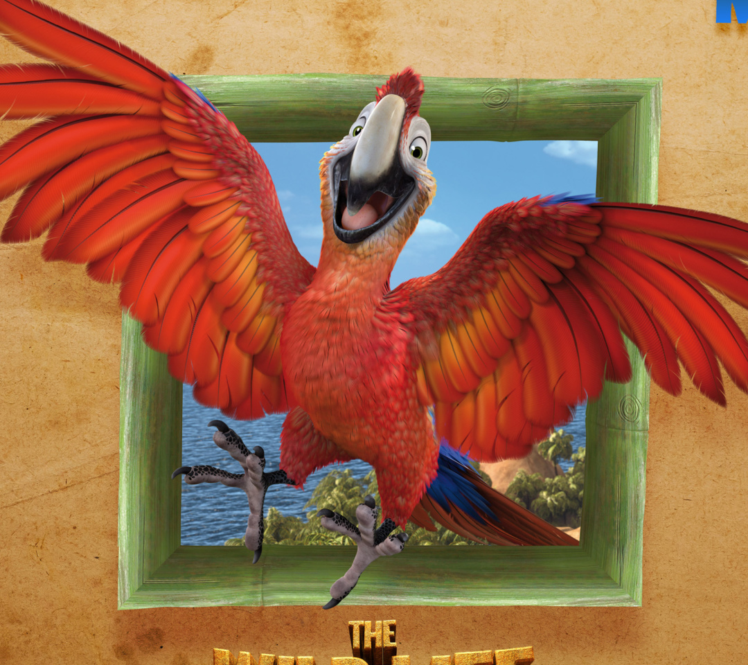 Das The Wild Life Cartoon Parrot Wallpaper 1080x960