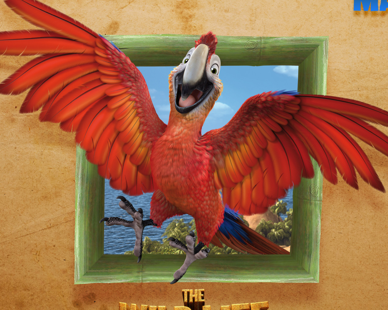 Das The Wild Life Cartoon Parrot Wallpaper 1280x1024