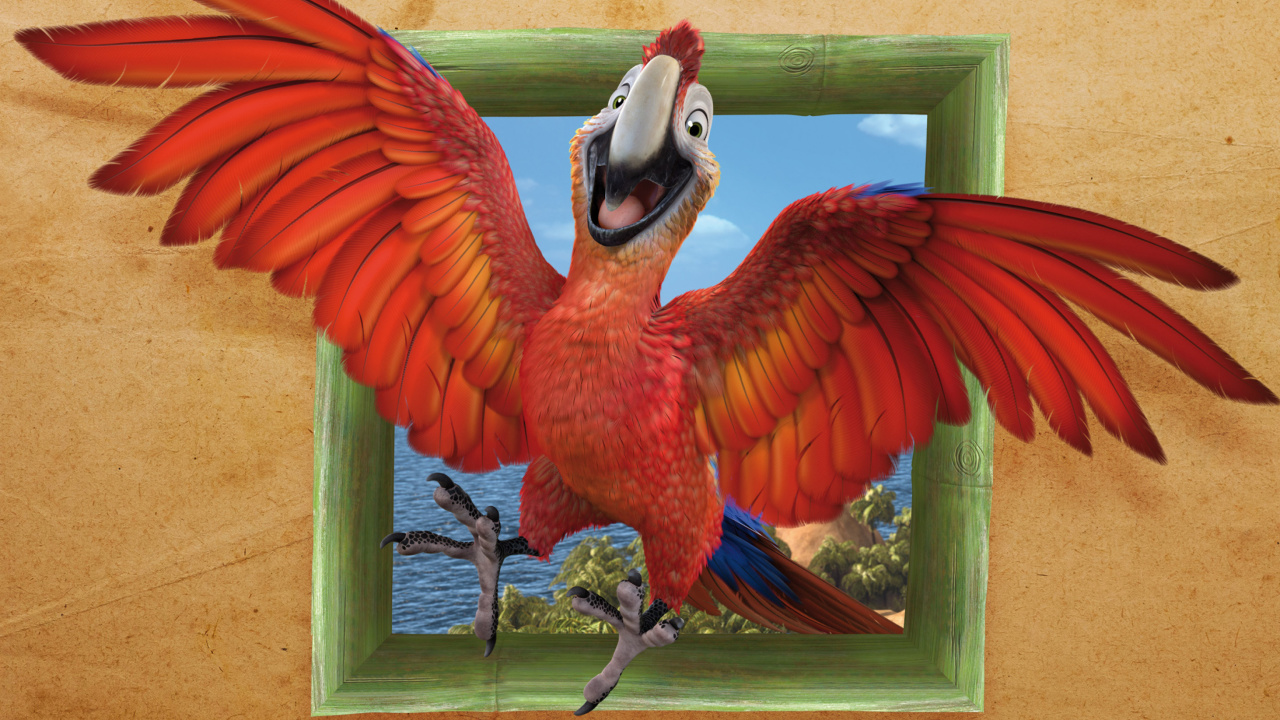 Das The Wild Life Cartoon Parrot Wallpaper 1280x720