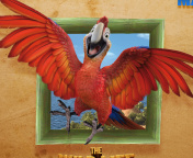 Das The Wild Life Cartoon Parrot Wallpaper 176x144