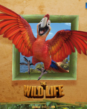 The Wild Life Cartoon Parrot wallpaper 176x220