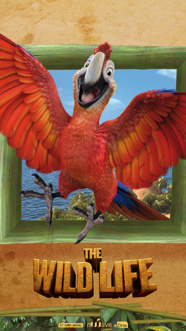 The Wild Life Cartoon Parrot wallpaper 640x1136