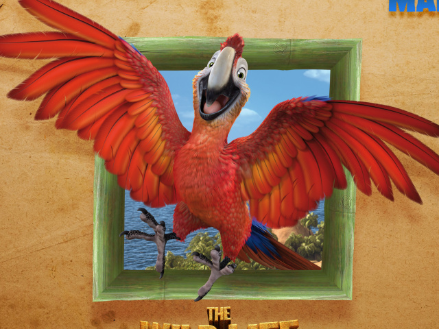 Das The Wild Life Cartoon Parrot Wallpaper 640x480