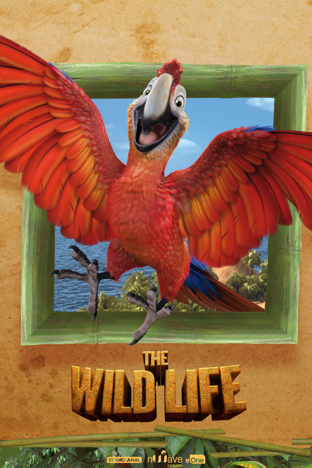 The Wild Life Cartoon Parrot wallpaper 640x960