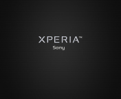 Sony Xperia screenshot #1 176x144