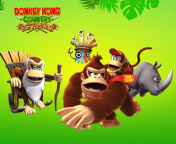 Обои Donkey Kong Country Returns Arcade Game 176x144