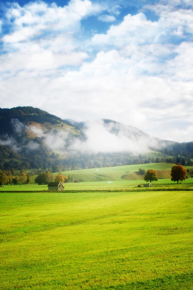 Fondo de pantalla Autumn Fog In Slovakia 640x960