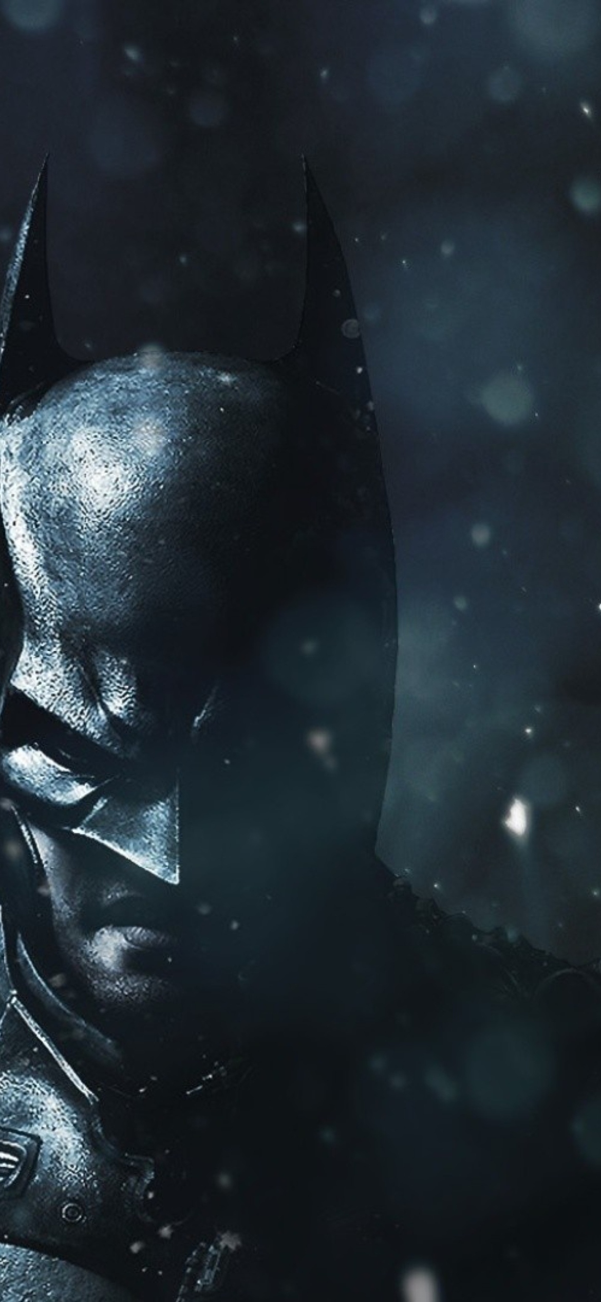 Batman Arkham Origins Game screenshot #1 1170x2532