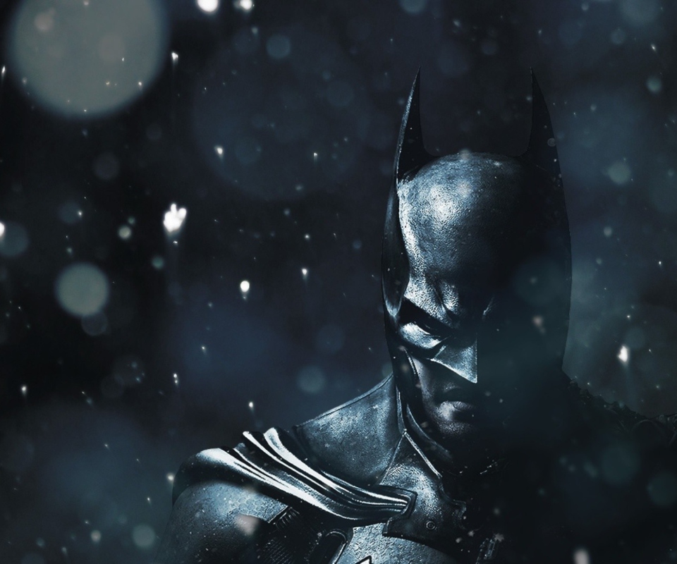 Das Batman Arkham Origins Game Wallpaper 960x800