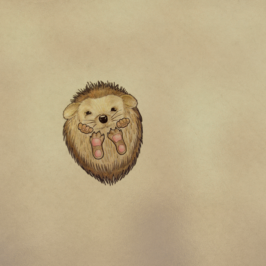 Sfondi Cute Hedgehog 1024x1024