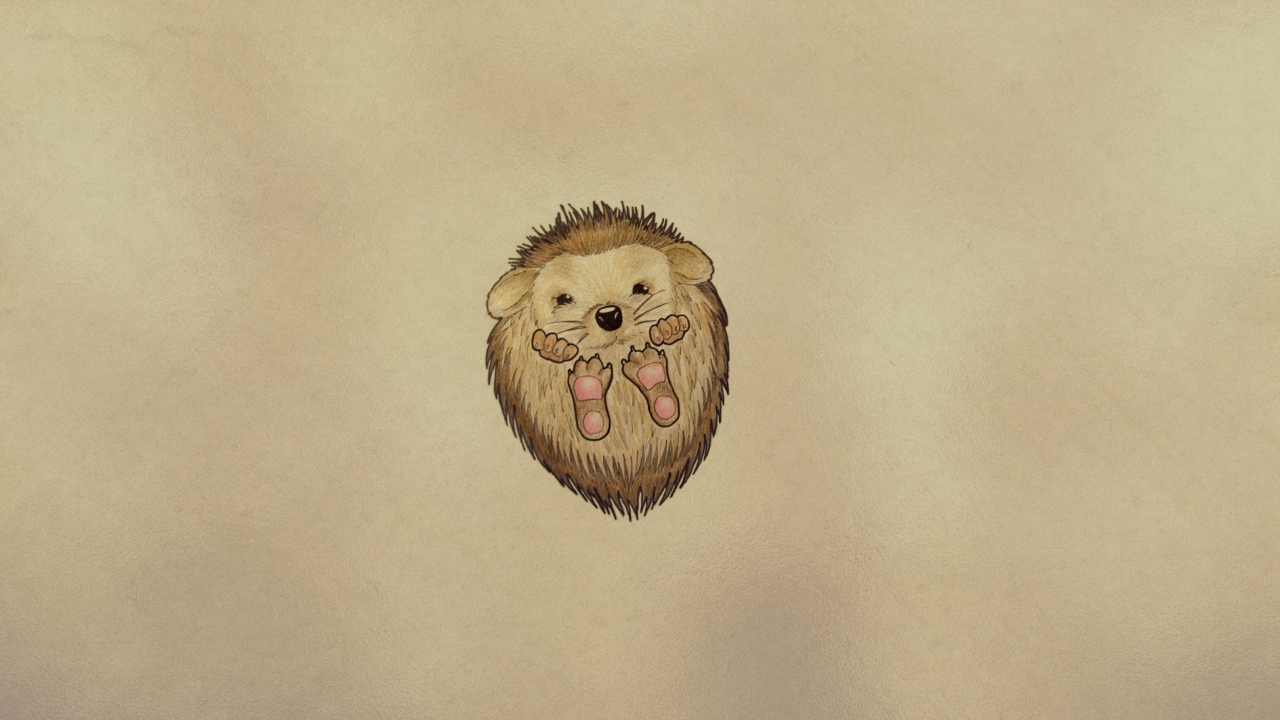 Cute Hedgehog wallpaper 1280x720