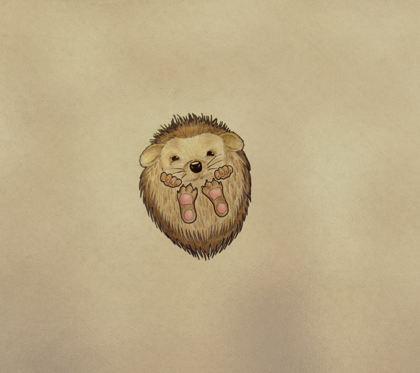 Das Cute Hedgehog Wallpaper 1440x1280