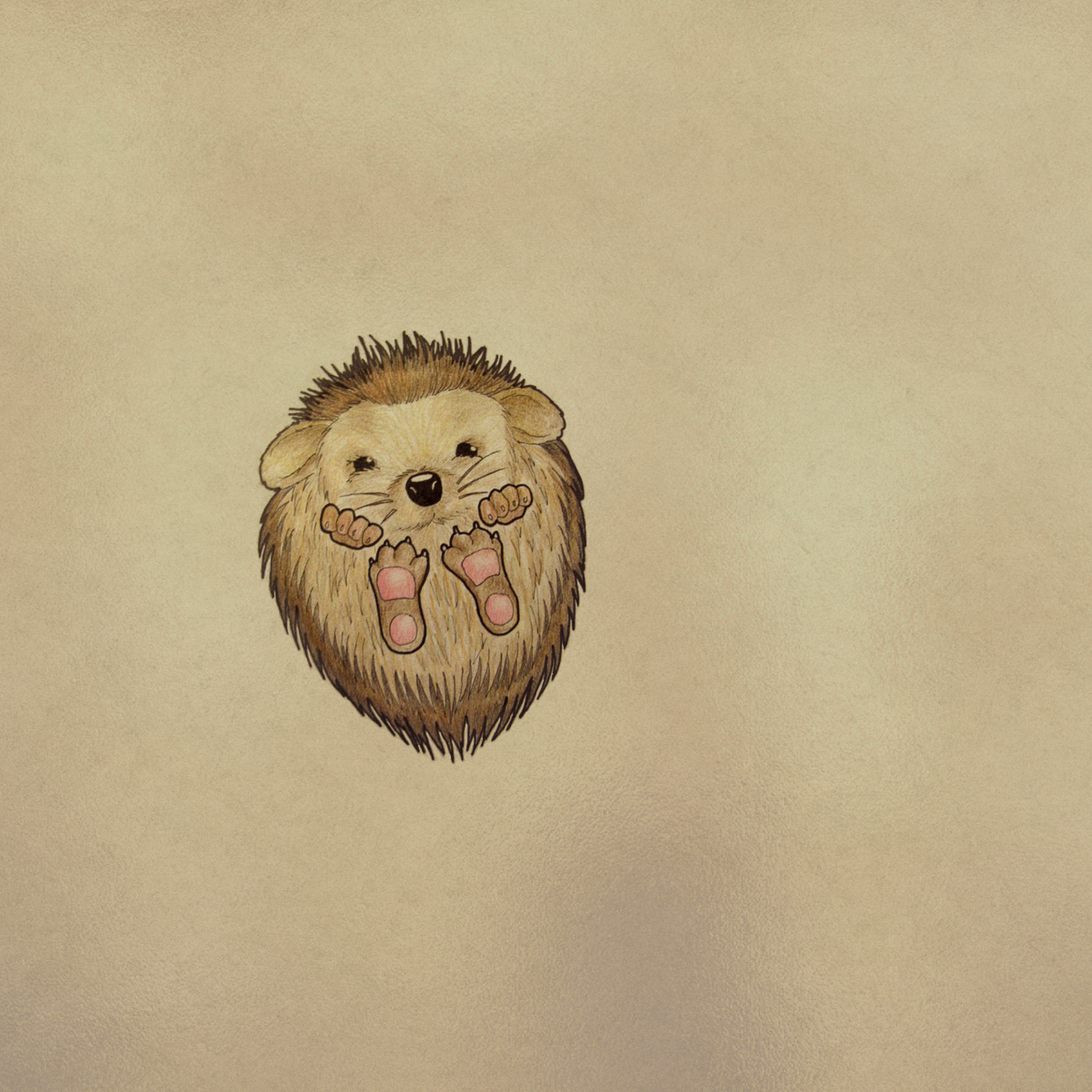 Sfondi Cute Hedgehog 2048x2048