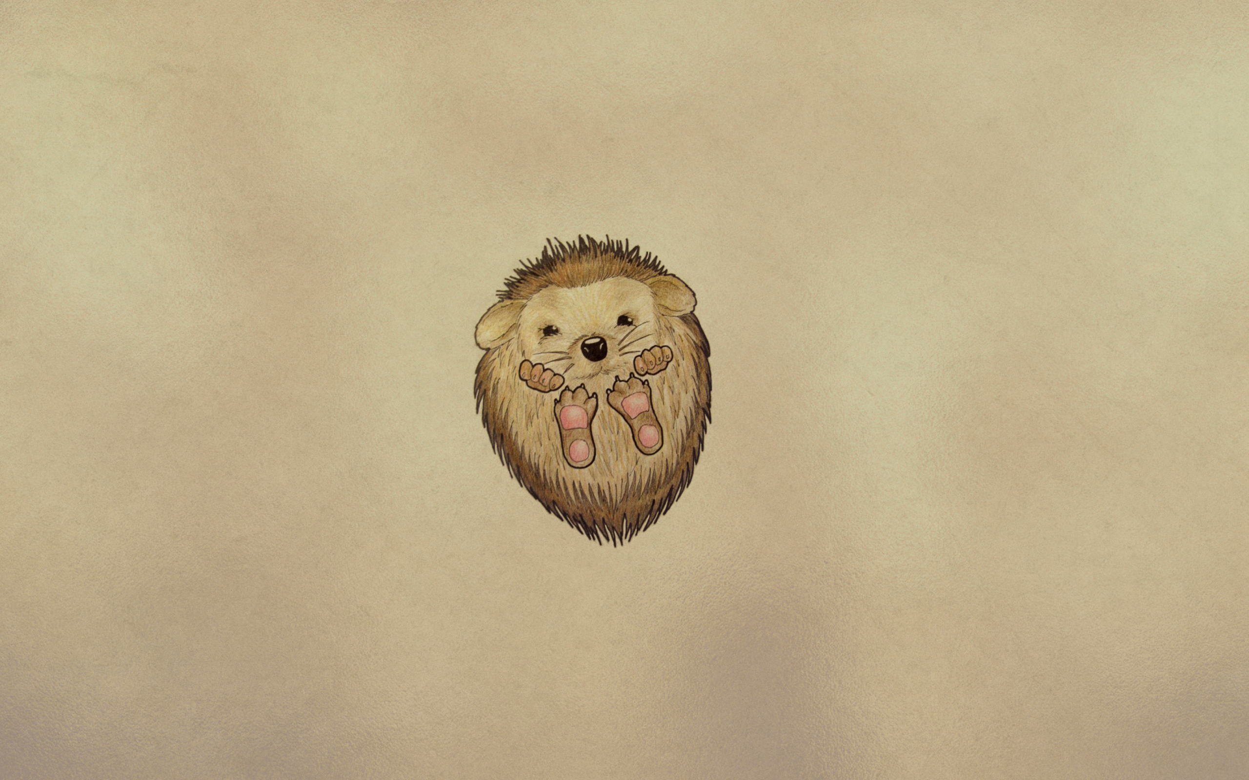 Screenshot №1 pro téma Cute Hedgehog 2560x1600