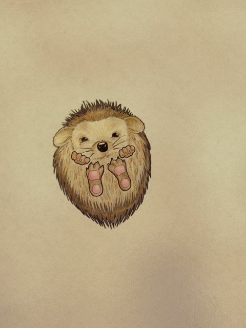 Das Cute Hedgehog Wallpaper 480x640