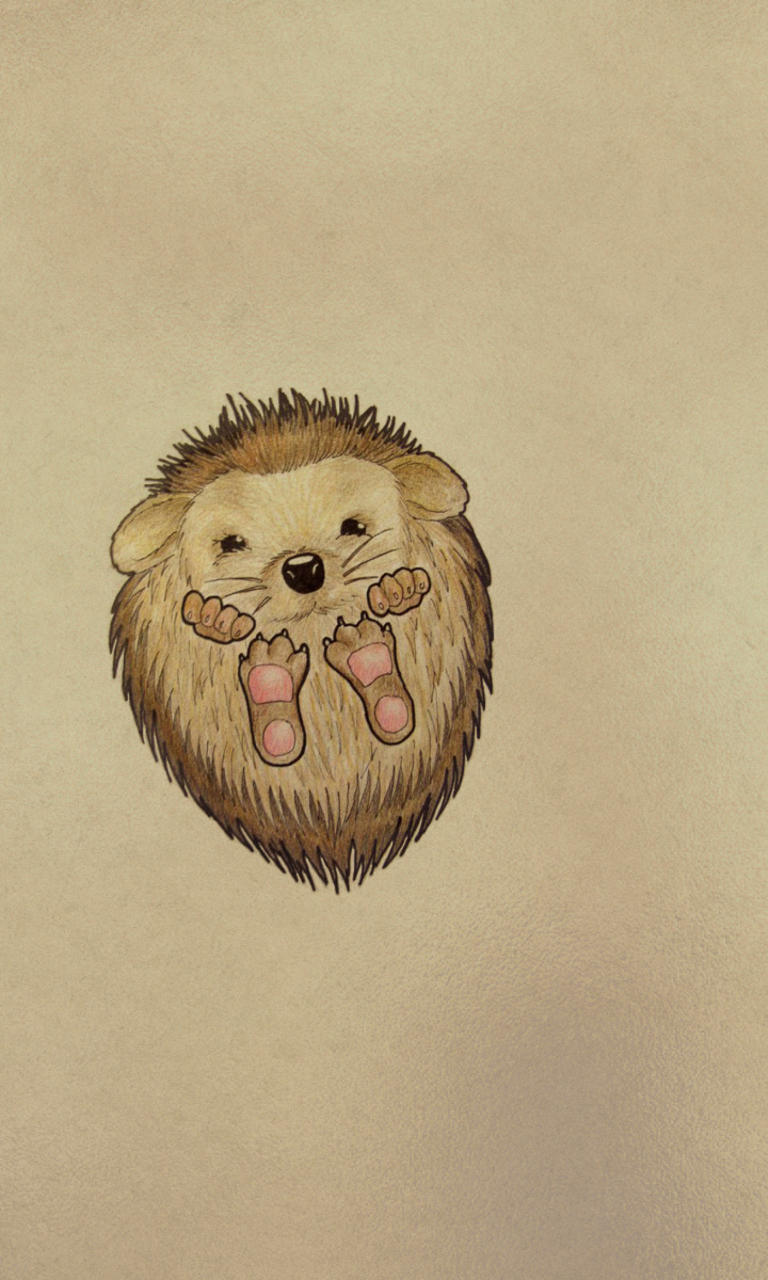 Cute Hedgehog wallpaper 768x1280