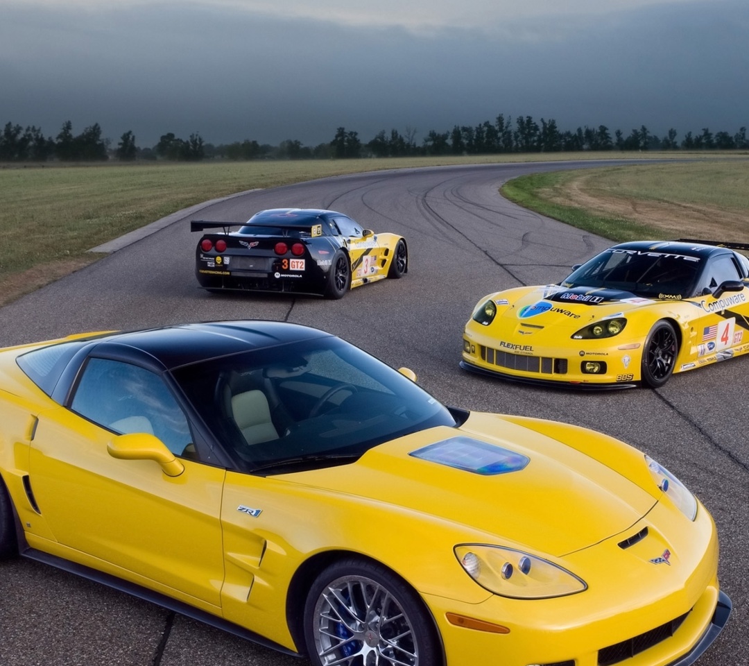 Sfondi Chevrolet Corvette C6R GT2 1080x960