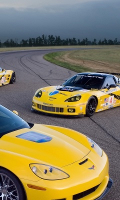 Chevrolet Corvette C6R GT2 wallpaper 240x400