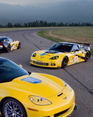 Картинка Chevrolet Corvette C6R GT2 для Nokia Asha 308