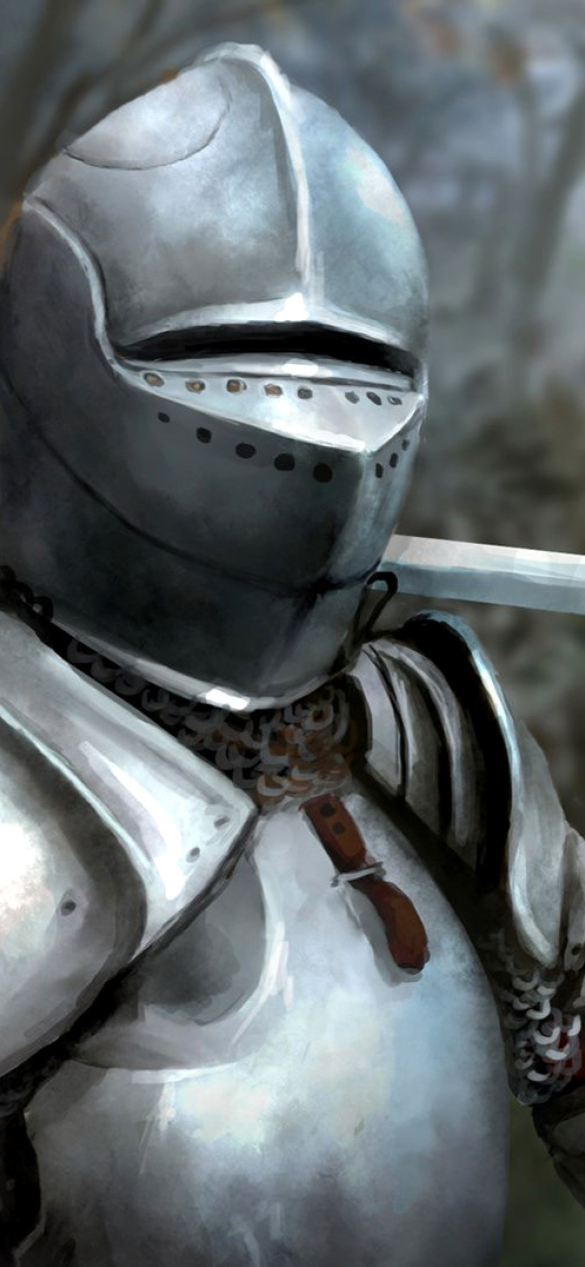 Обои Medieval knight in armor 1170x2532