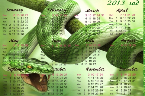 Das Snake Year Wallpaper 480x320