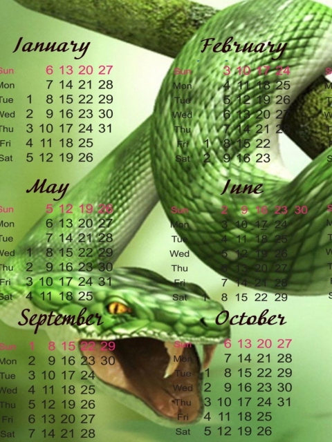 Sfondi Snake Year 480x640