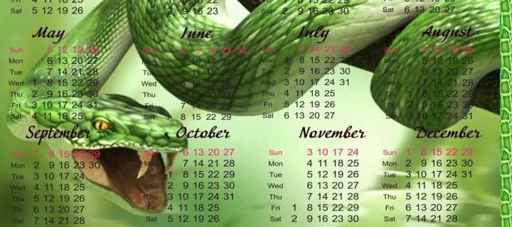 Snake Year wallpaper 720x320