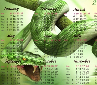 Snake Year Wallpaper for iPad 2