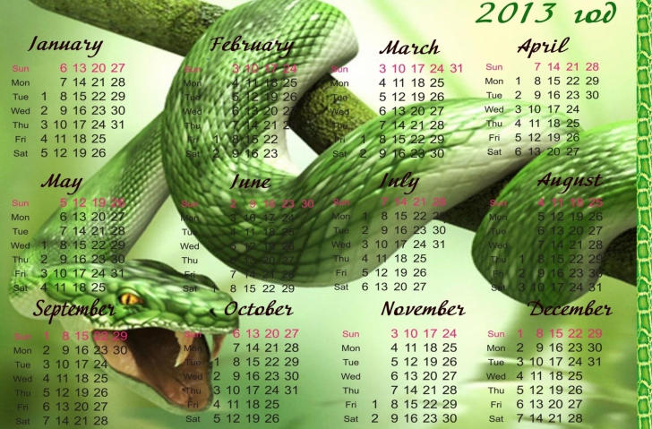 Fondo de pantalla Snake Year