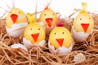 Kostenloses Smile Easter Eggs Wallpaper für Android, iPhone und iPad