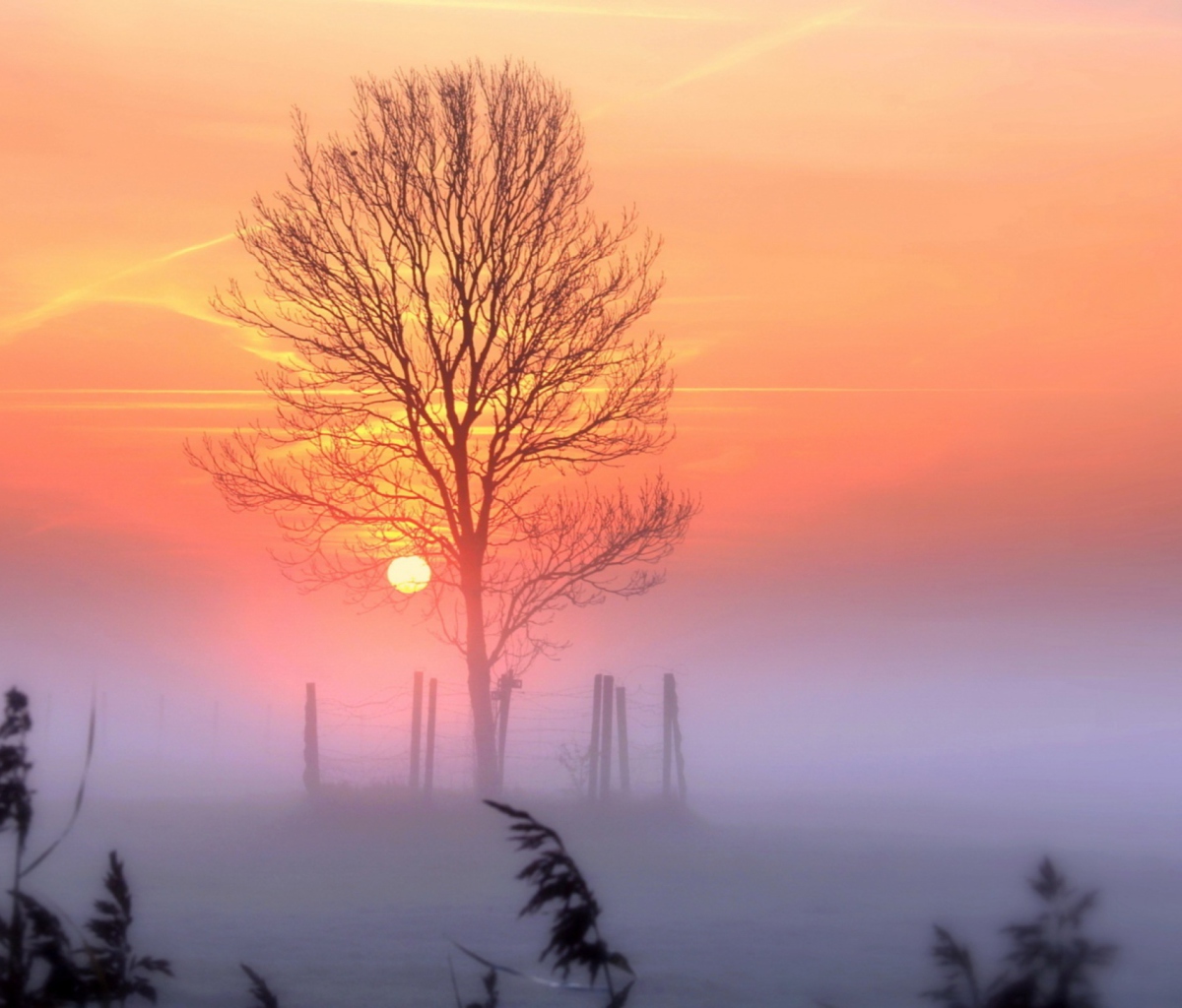 Sunset And Mist screenshot #1 1200x1024