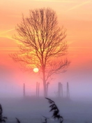 Screenshot №1 pro téma Sunset And Mist 132x176