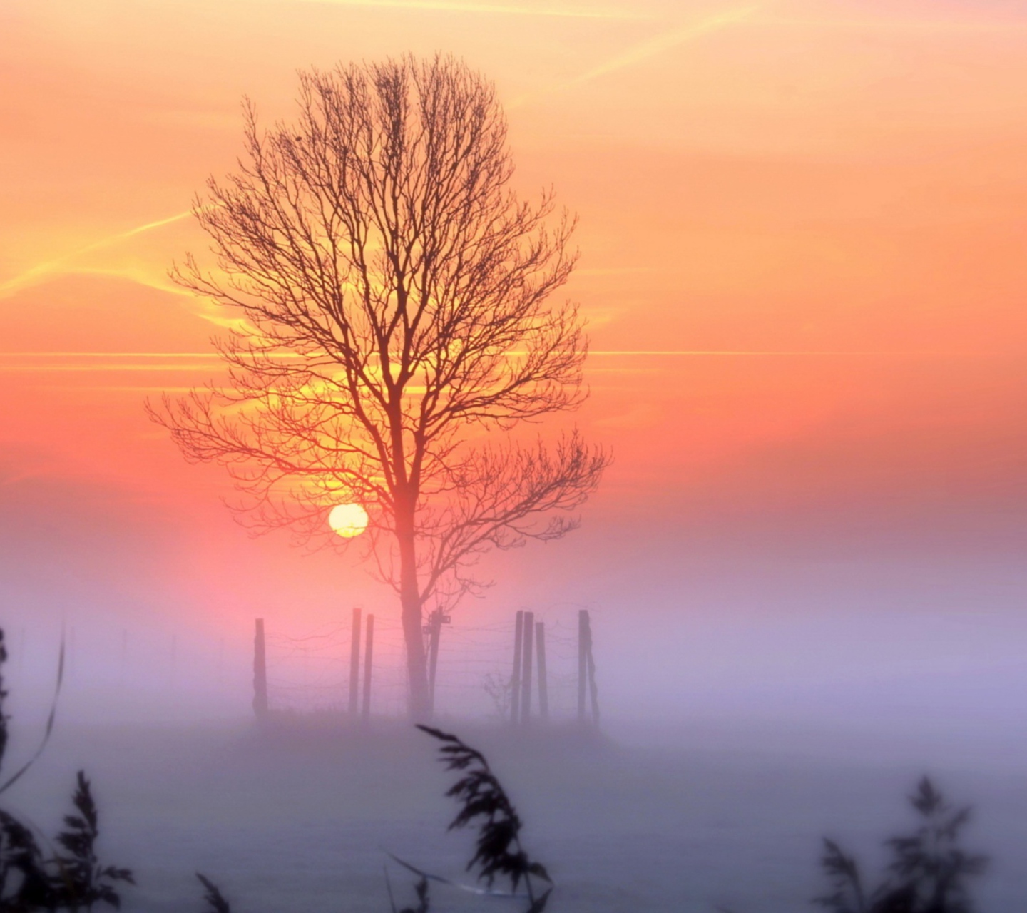 Screenshot №1 pro téma Sunset And Mist 1440x1280