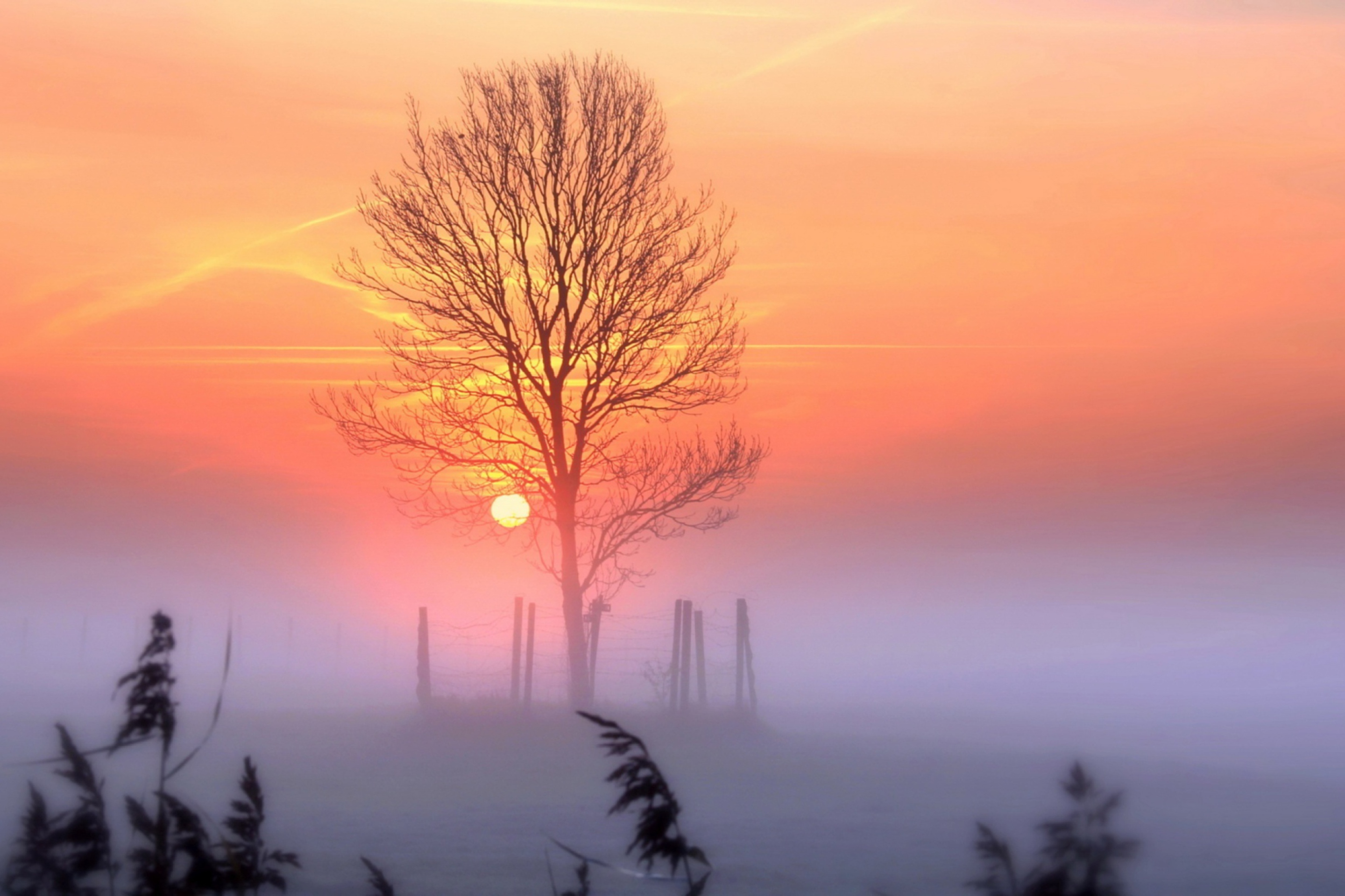 Sunset And Mist screenshot #1 2880x1920