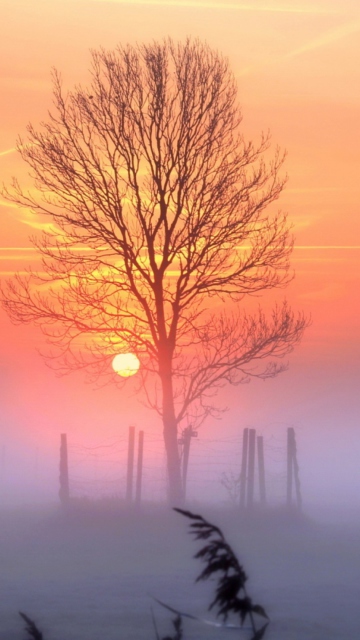 Sunset And Mist screenshot #1 360x640