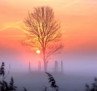 Картинка Sunset And Mist для iPad 3