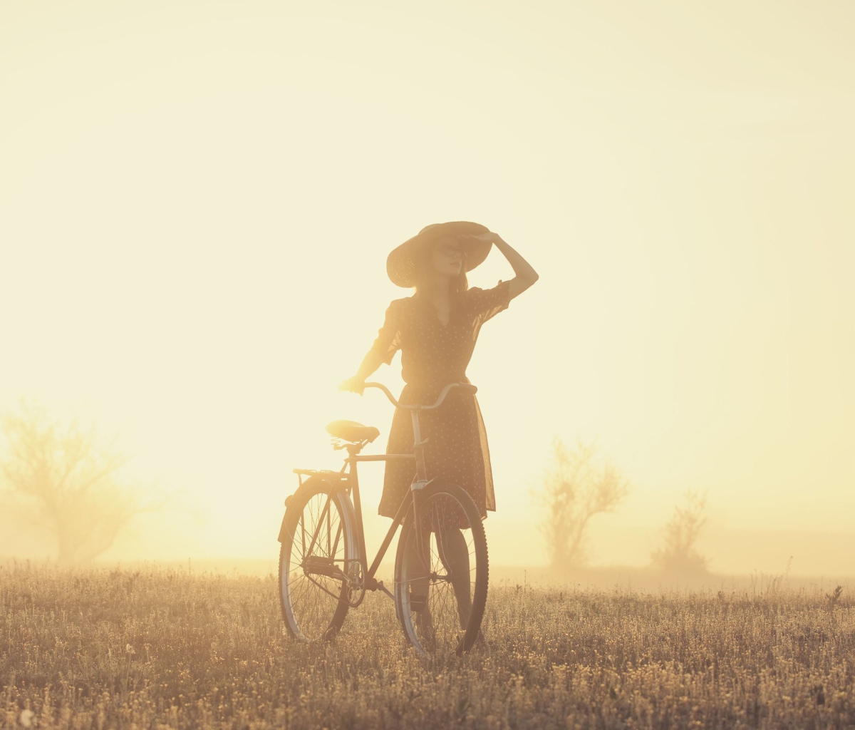 Обои Girl And Bicycle On Misty Day 1200x1024