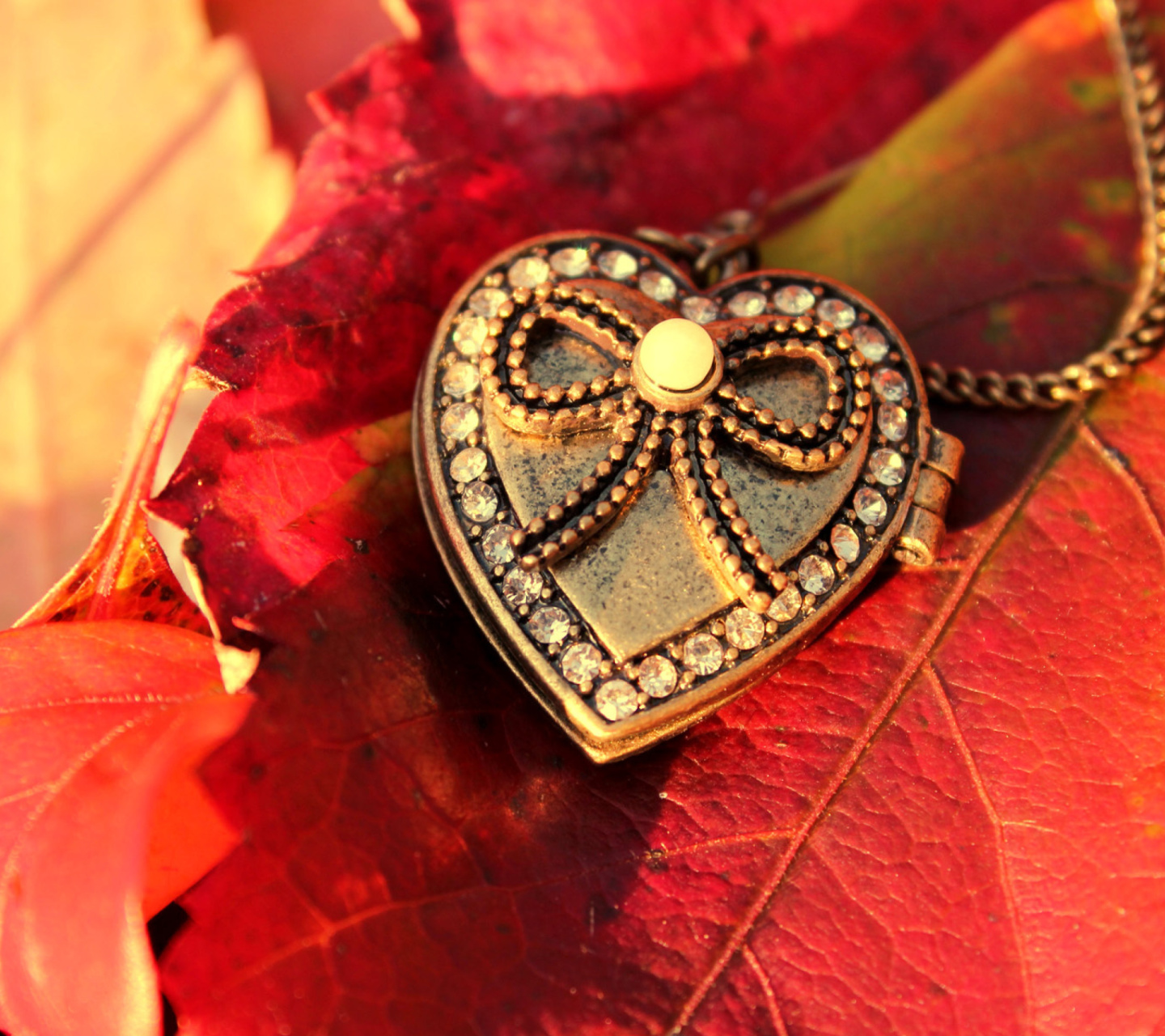 Sfondi Autumn Heart Decor 1440x1280