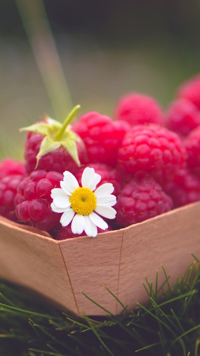 Sfondi Raspberry Basket And Daisy 640x1136