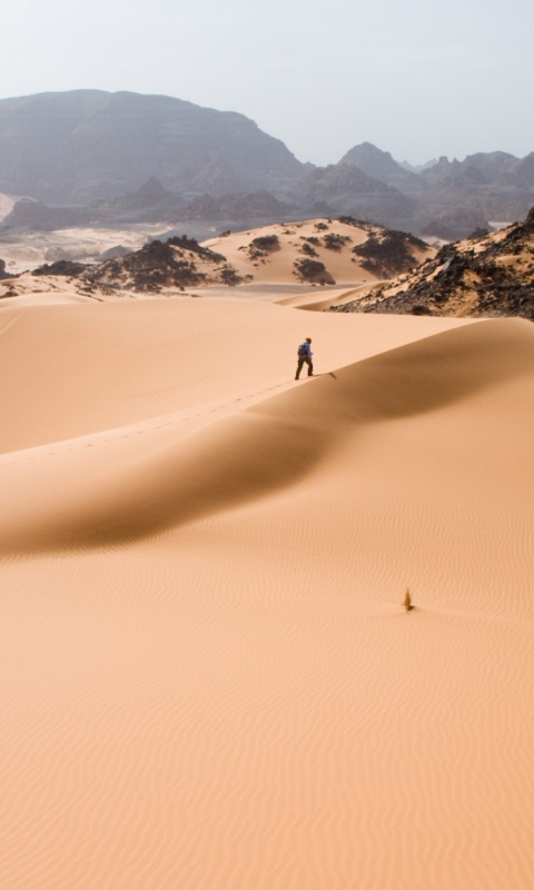 Fondo de pantalla Desert 480x800