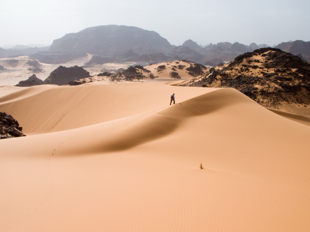 Fondo de pantalla Desert 640x480