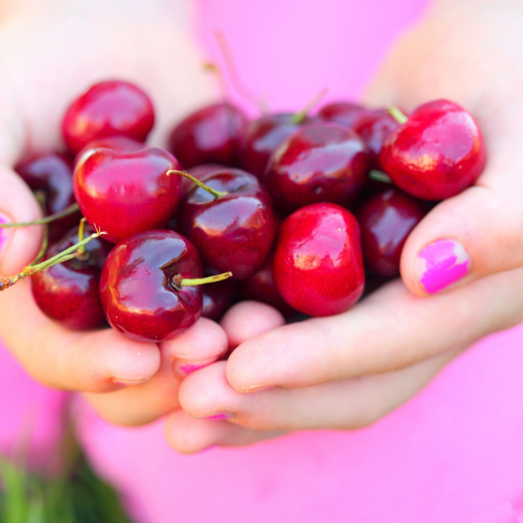 Fondo de pantalla Cherries In Hands 1024x1024